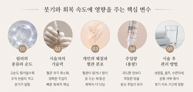 앞볼필러 붓기 얼마나 심한가요? 단계별 회복 과정 주의사항 가이드 사진 8