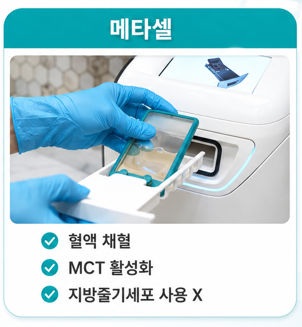 메타셀효과, 킴 카다시안 사례보다 먼저 확인해야 할 시술 과정 5단계 사진 4