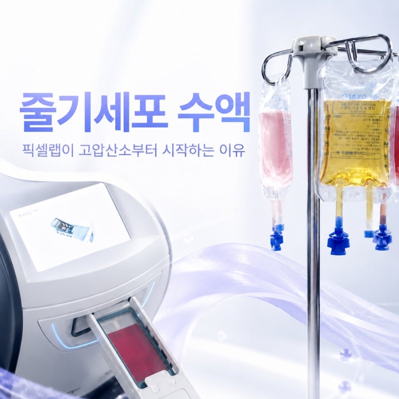 줄기세포 수액, 맞기 전에 확인할 3가지 — 픽셀랩이 고압산소부터 시작하는 이유 사진 19